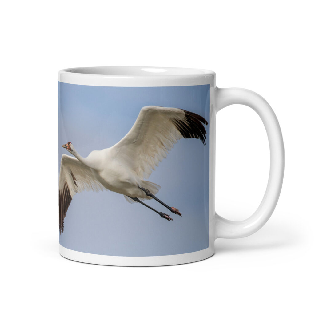 Whooping crane! White glossy mug