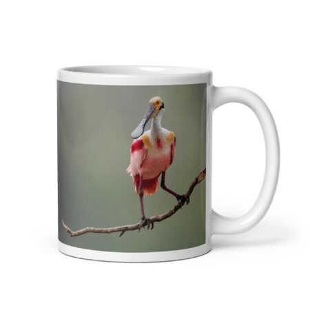 Roseate Spoonbill! White glossy mug