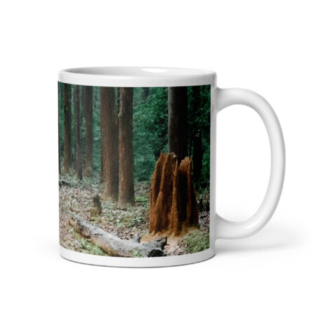 The Path less Understood! White glossy mug