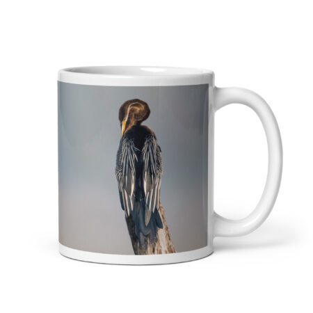 Indian Darter! White glossy mug