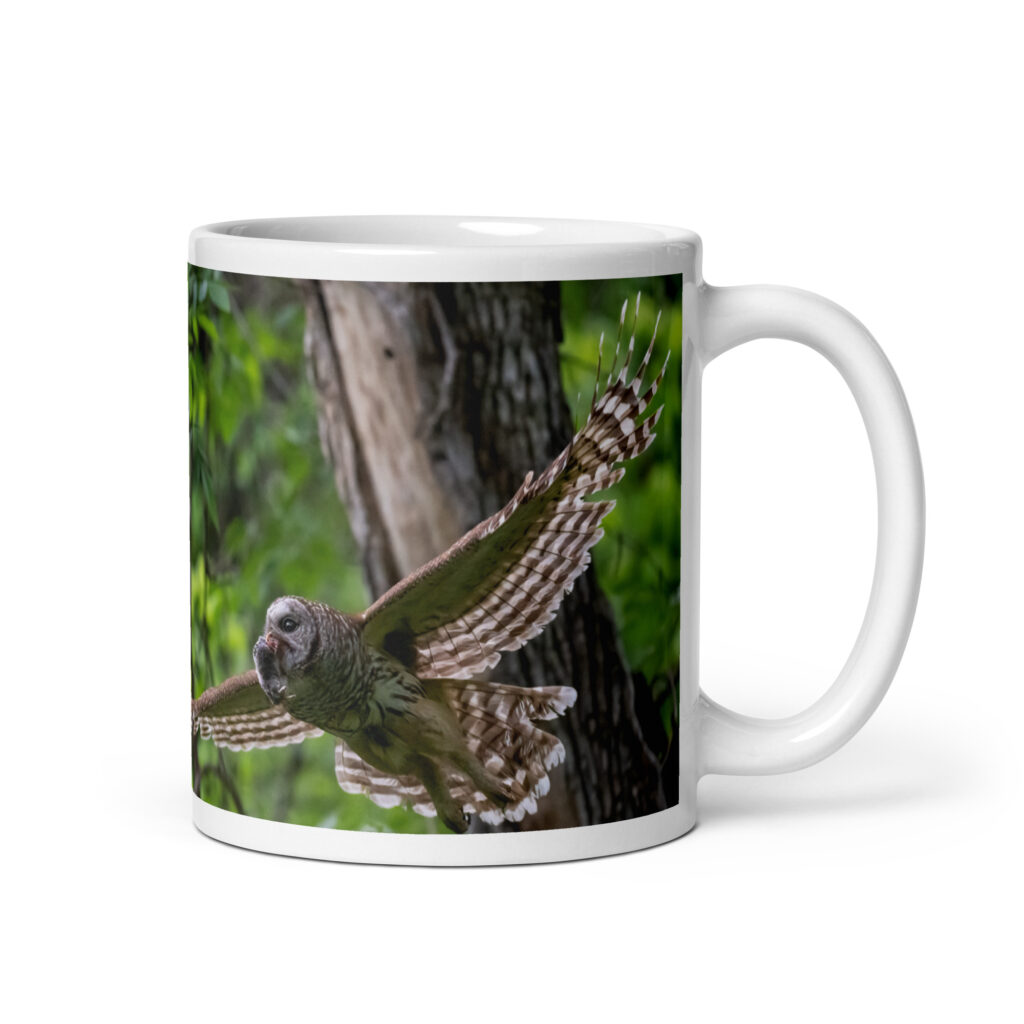 Barred Owl spreading its wings! White glossy mug