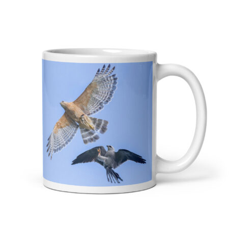 Red-shouldered hawk fighting with Mississippi kite! White glossy mug