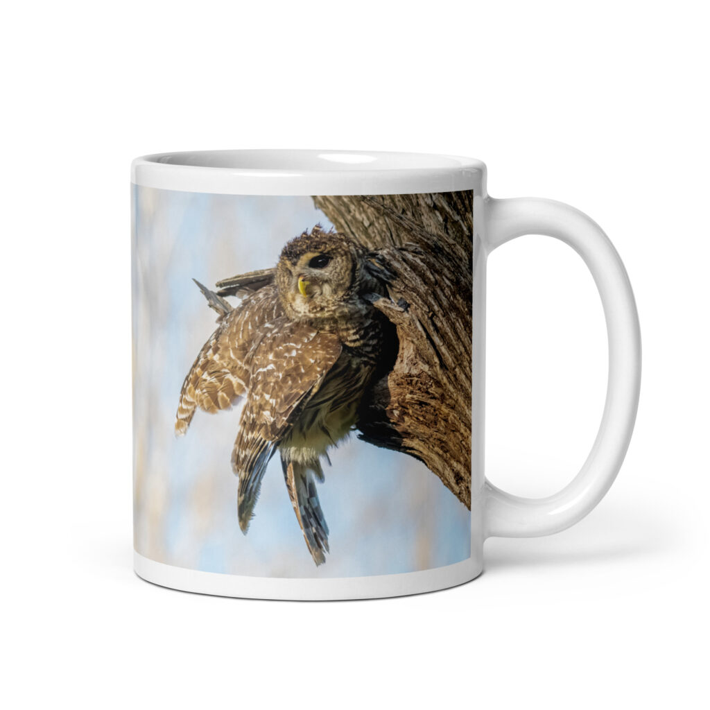 Mama barred owl! White glossy mug