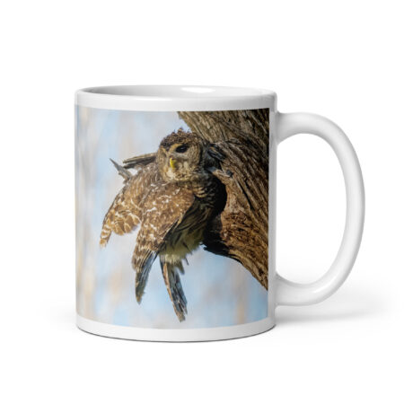 Mama barred owl! White glossy mug