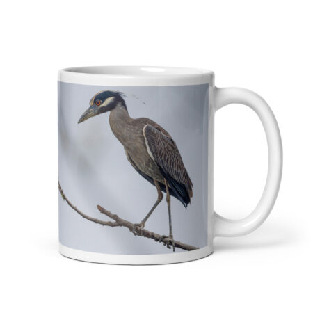 Yellow crowned night heron! White glossy mug