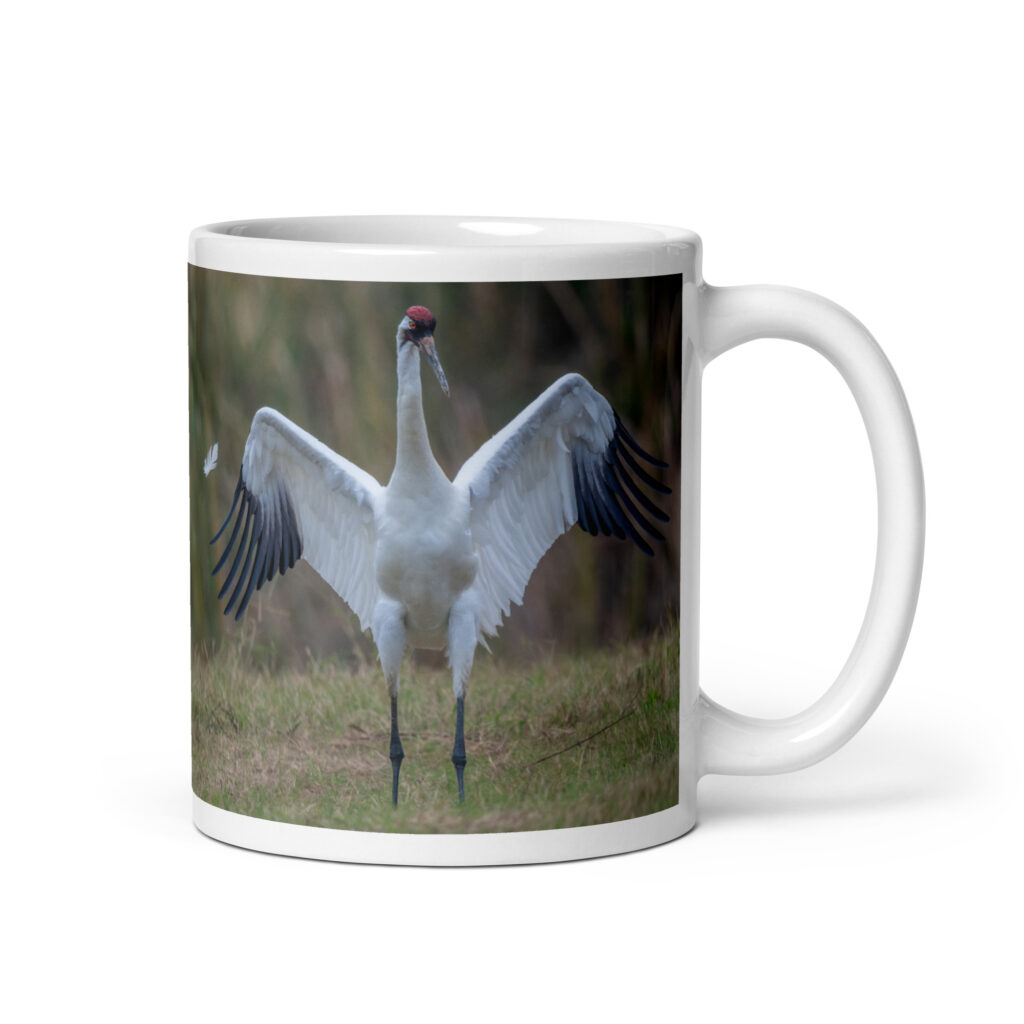Whooping crane feather! White glossy mug