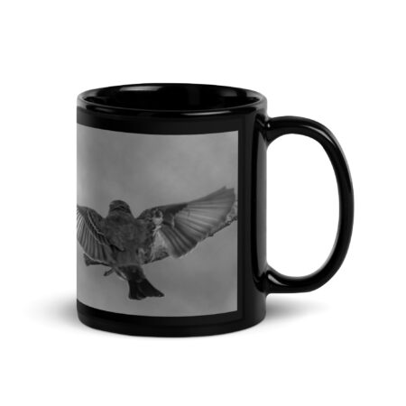 Dream Landing! Black Glossy Mug