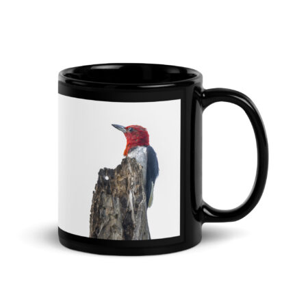 Red-Headed woodpecker guarding the nest! Black Glossy Mug