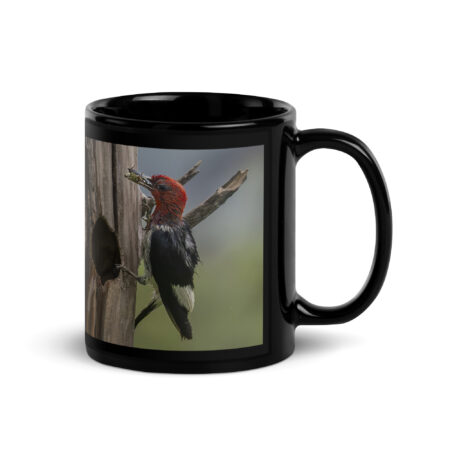 Red-Headed Woodpecker with Food! Black Glossy Mug