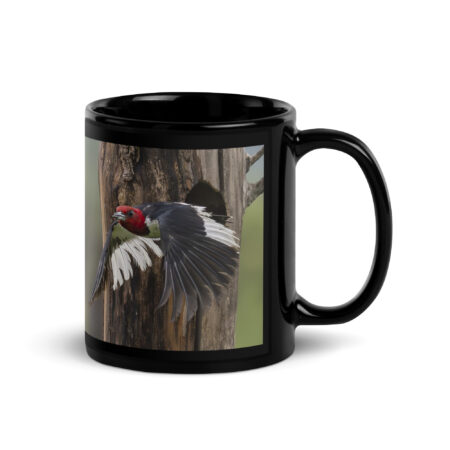 Red-Headed Woodpecker in flight! Black Glossy Mug