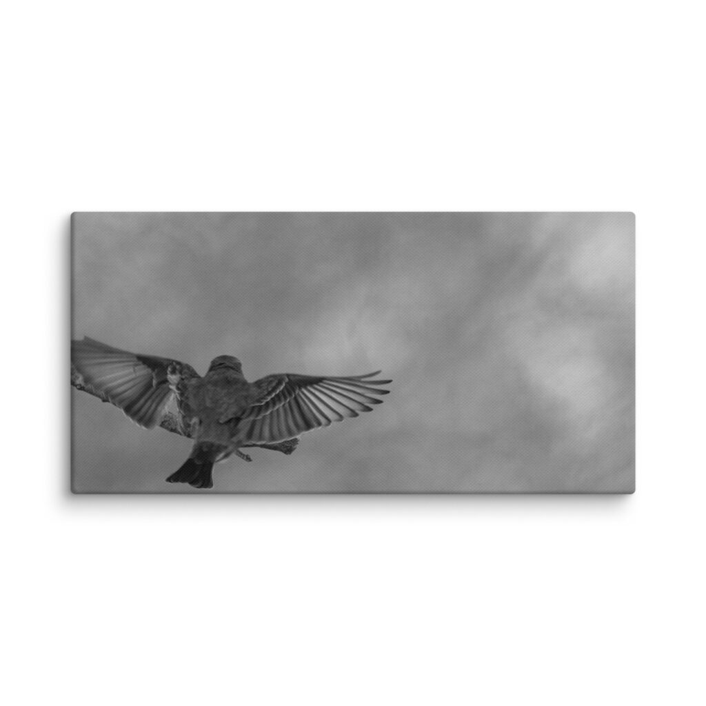 Dream Landing! Canvas