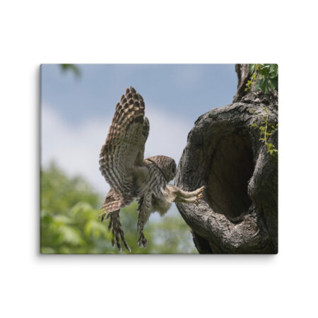 Precision Landing! Canvas