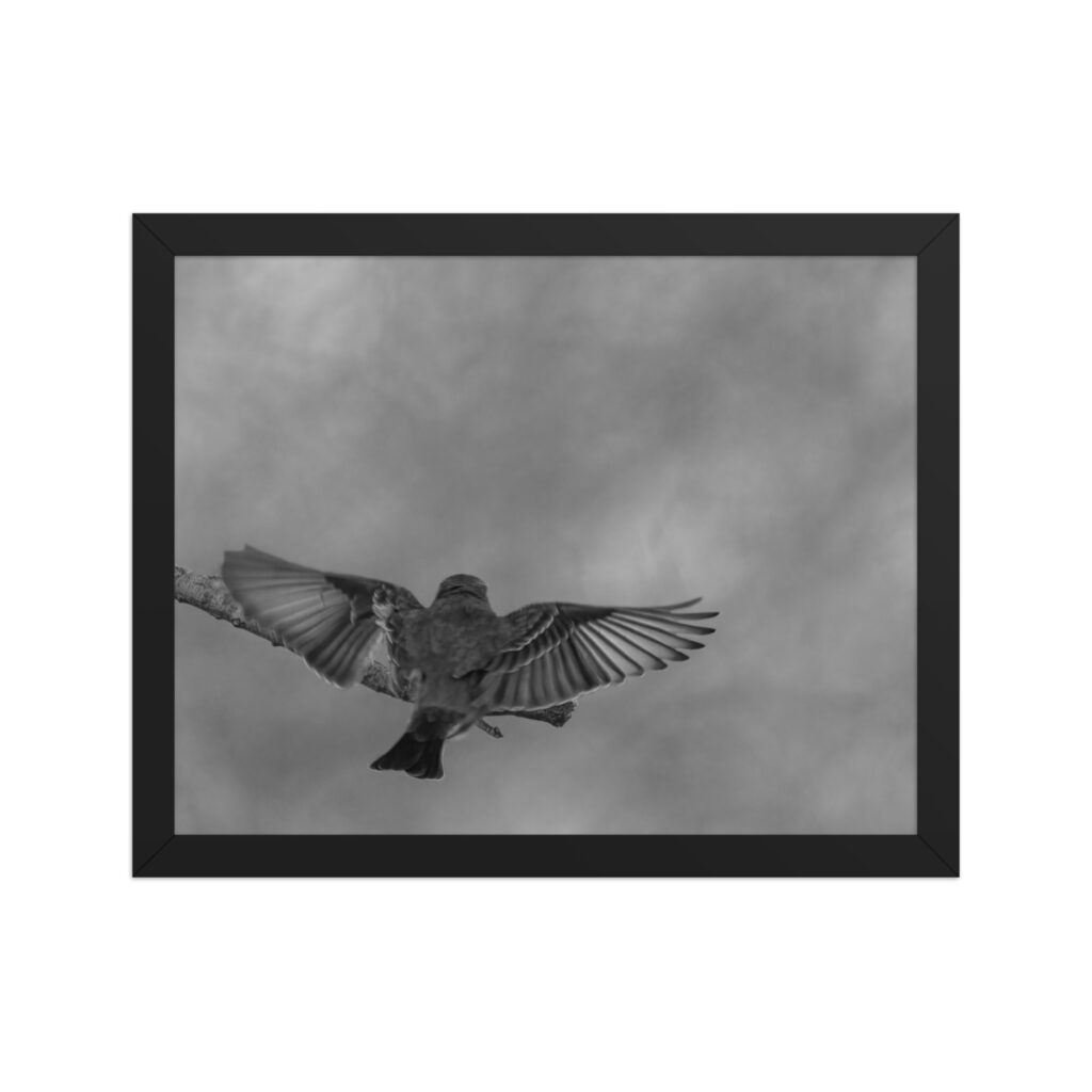Dream Landing! Framed poster