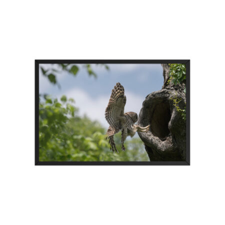 Precision Landing! Framed poster