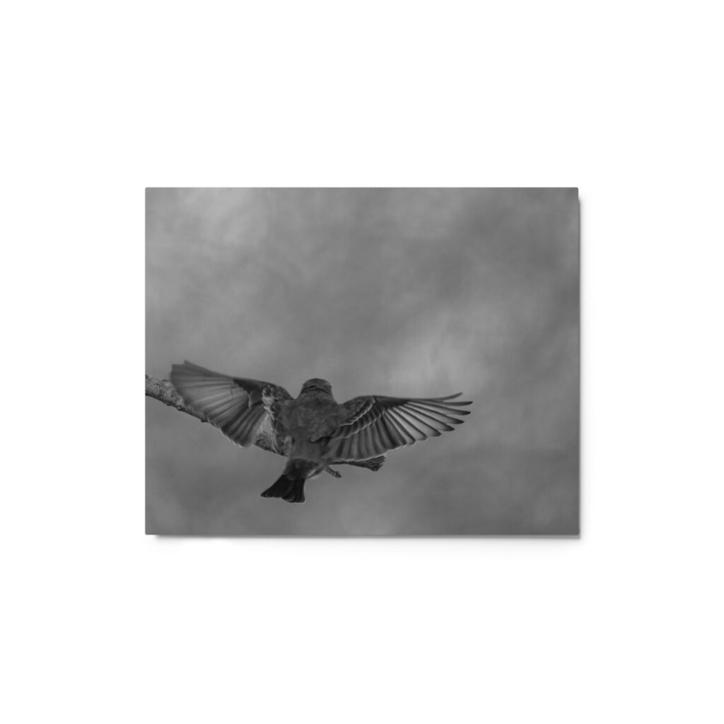 Dream Landing! Metal prints