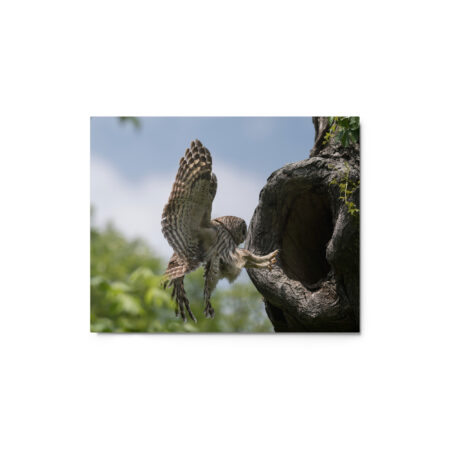 Precision Landing! Metal prints
