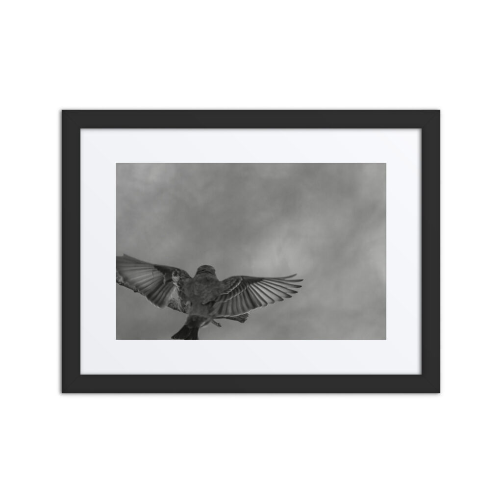 Dream Landing! Framed poster