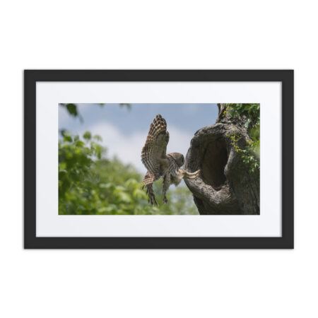 Precision Landing! Framed poster