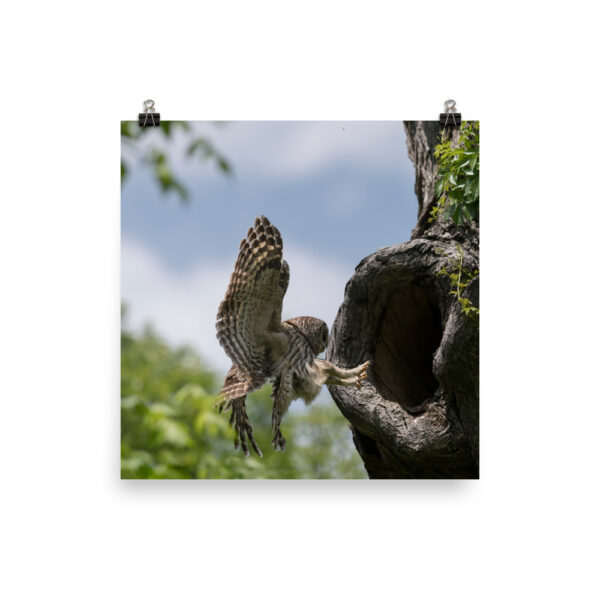 Precision Landing!  Photo paper poster - Image 2