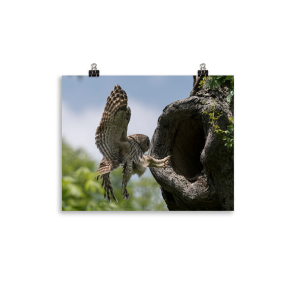 Precision Landing!  Photo paper poster - Image 3