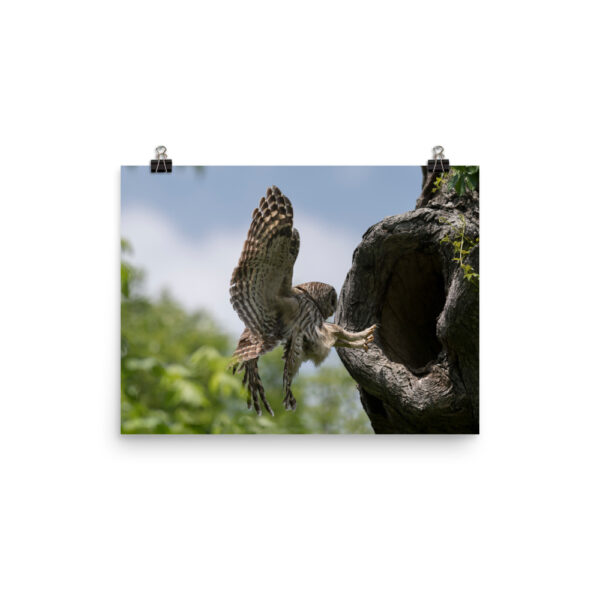 Precision Landing!  Photo paper poster - Image 5