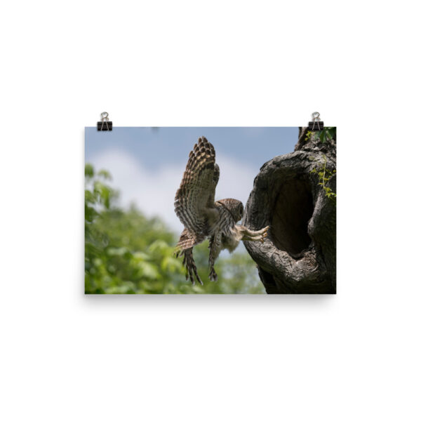 Precision Landing!  Photo paper poster - Image 6