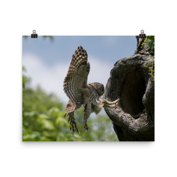 Precision Landing!  Photo paper poster - Image 9