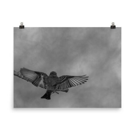 Dream Landing! Photo paper poster