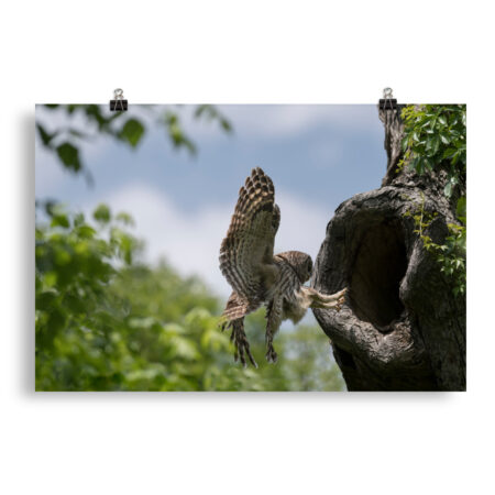 Precision Landing!  Photo paper poster