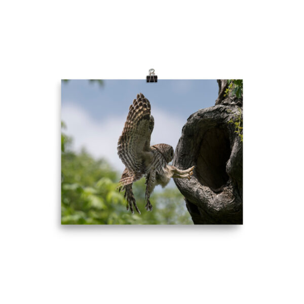 Precision Landing!  Photo paper poster - Image 12