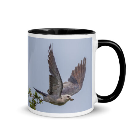 Mississippi kite with its prey!  Mug with Color Inside