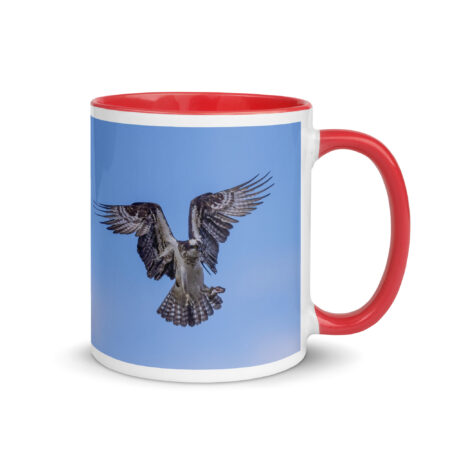 Osprey in the blue sky! Mug with Color Inside