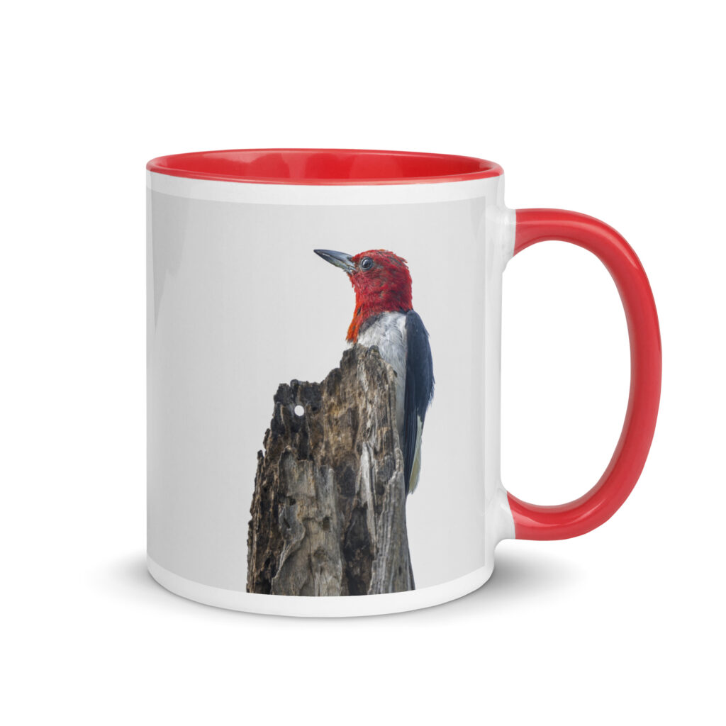 Red-Headed woodpecker guarding the nest! Mug with Color Inside