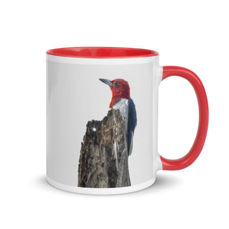 Red-Headed woodpecker guarding the nest! Mug with Color Inside