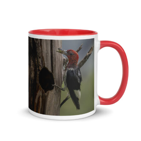 Red-Headed Woodpecker with Food! Mug with Color Inside