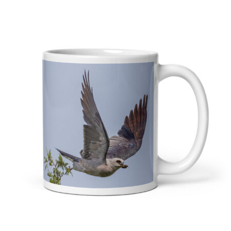 Mississippi kite with its prey! White glossy mug