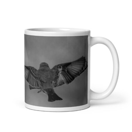 Dream Landing! White glossy mug