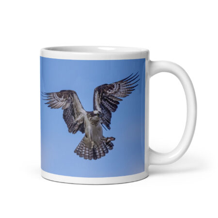 Osprey in the blue sky! White glossy mug