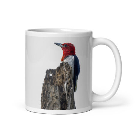 Red-Headed woodpecker guarding the nest! White glossy mug