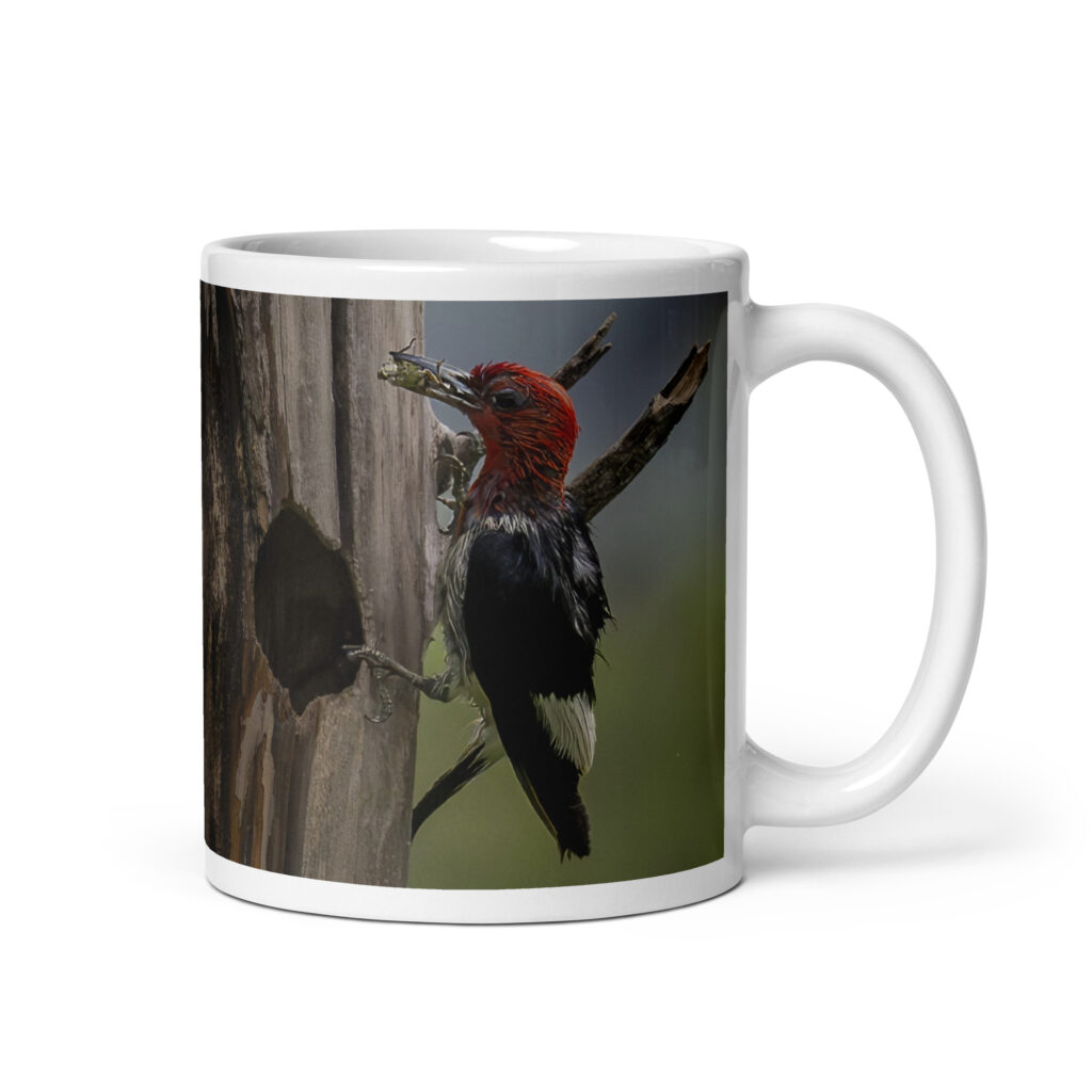 Red-Headed Woodpecker with Food! White glossy mug
