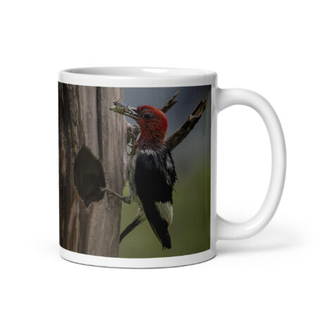 Red-Headed Woodpecker with Food! White glossy mug