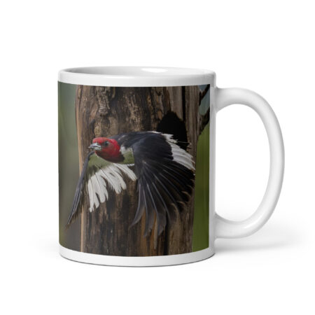 Red-Headed Woodpecker in flight! White glossy mug