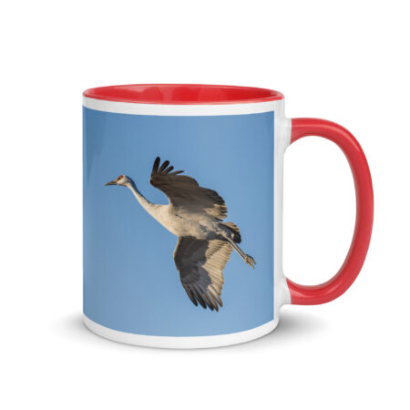 Sandhill Crane Landing! Mug with Color Inside