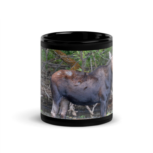 Portrait of a Mama Moose!  Black Glossy Mug - Image 3