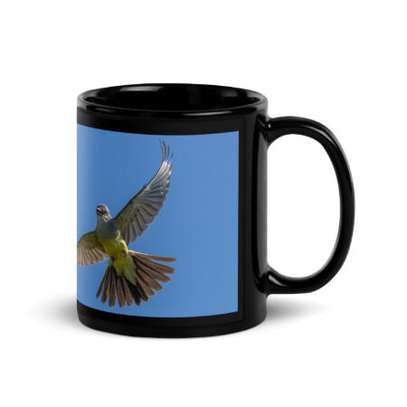Western Kingbird Hovering Blue Sky! Black Glossy Mug