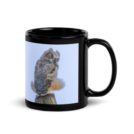Baby Great Horned Owl! Black Glossy Mug