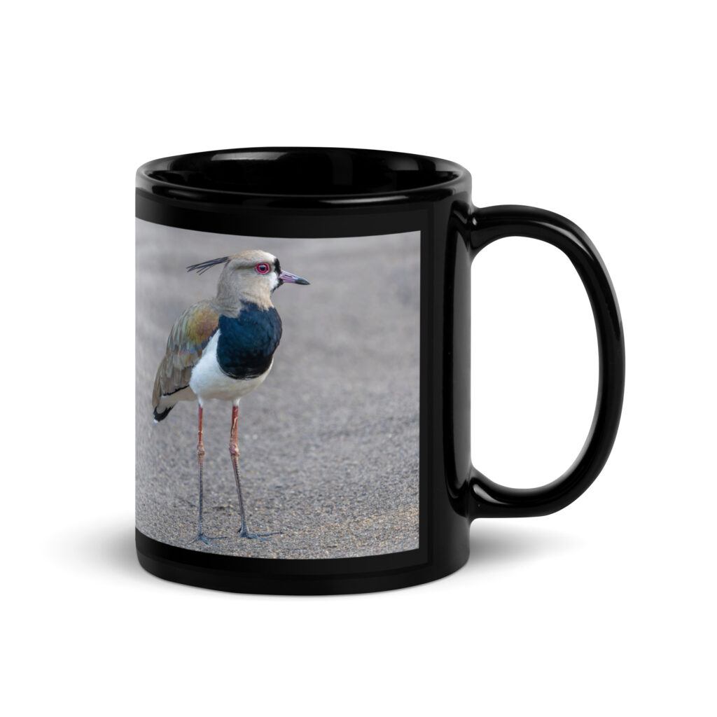 Southern lapwing! Black Glossy Mug