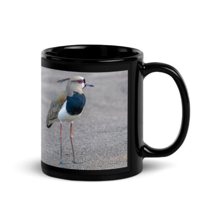 Southern lapwing! Black Glossy Mug