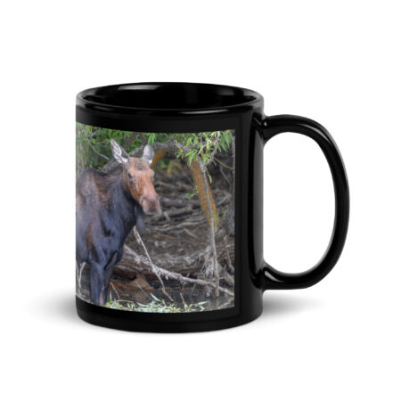 Portrait of a Mama Moose!  Black Glossy Mug