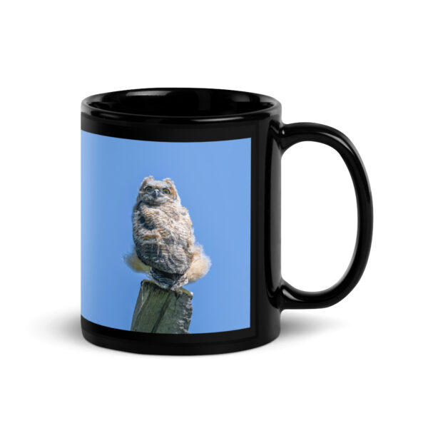 Baby Great horned owl! Black Glossy Mug